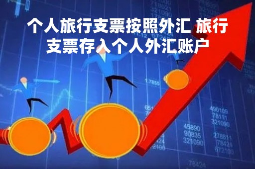 个人旅行支票按照外汇 旅行支票存入个人外汇账户