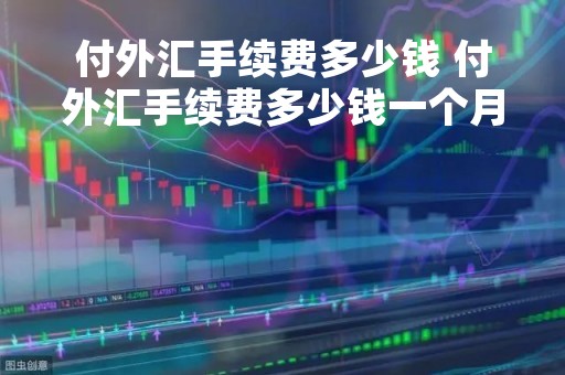 付外汇手续费多少钱 付外汇手续费多少钱一个月
