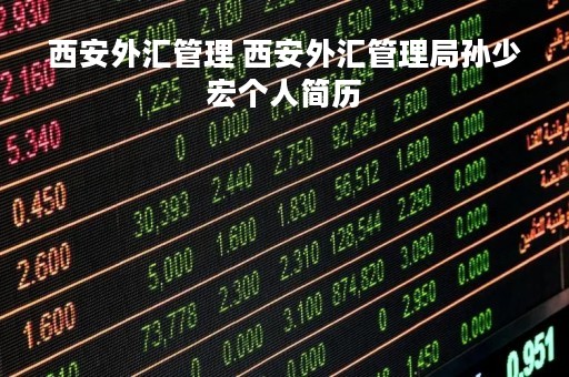 西安外汇管理 西安外汇管理局孙少宏个人简历