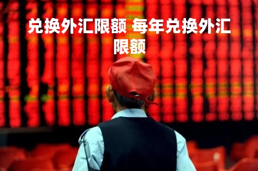 兑换外汇限额 每年兑换外汇限额