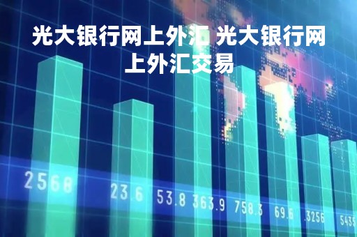 光大银行网上外汇 光大银行网上外汇交易
