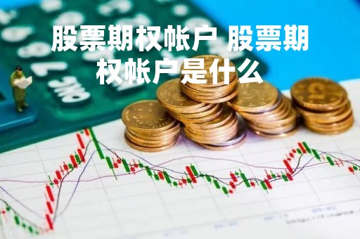 股票期权帐户 股票期权帐户是什么