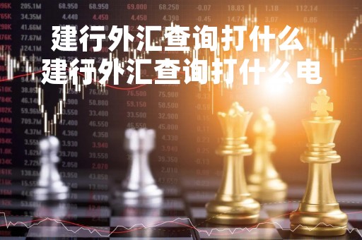 建行外汇查询打什么 建行外汇查询打什么电话查