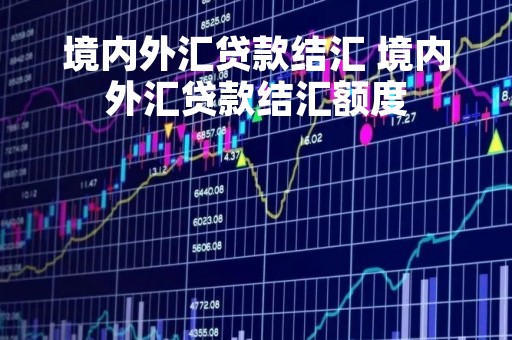 境内外汇贷款结汇 境内外汇贷款结汇额度