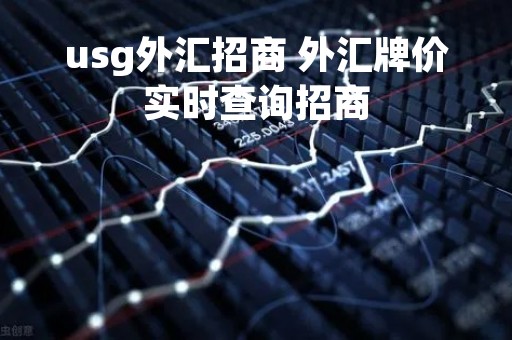 usg外汇招商 外汇牌价实时查询招商