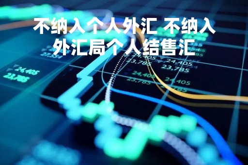 不纳入个人外汇 不纳入外汇局个人结售汇