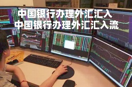 中国银行办理外汇汇入 中国银行办理外汇汇入流程