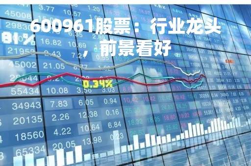 600961股票：行业龙头，前景看好