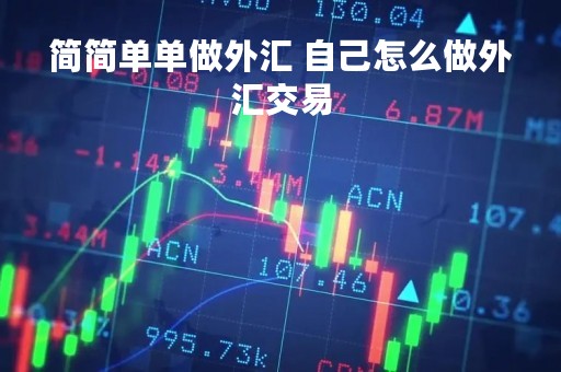 简简单单做外汇 自己怎么做外汇交易