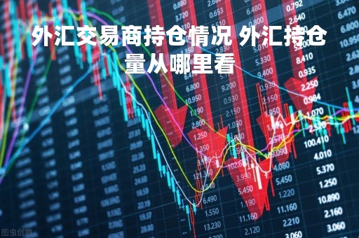 外汇交易商持仓情况 外汇持仓量从哪里看