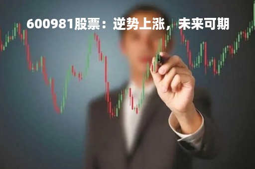 600981股票：逆势上涨，未来可期