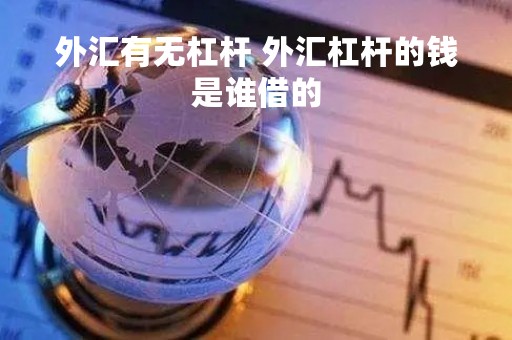 外汇有无杠杆 外汇杠杆的钱是谁借的