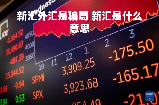 新汇外汇是骗局 新汇是什么意思