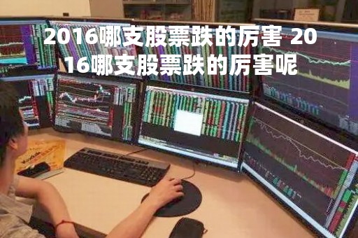 2016哪支股票跌的厉害 2016哪支股票跌的厉害呢