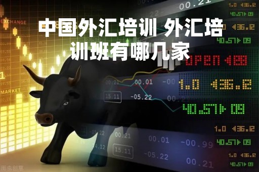 中国外汇培训 外汇培训班有哪几家