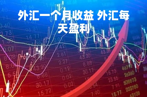 外汇一个月收益 外汇每天盈利