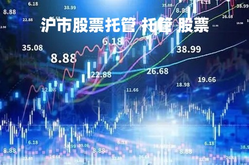 沪市股票托管 托管 股票