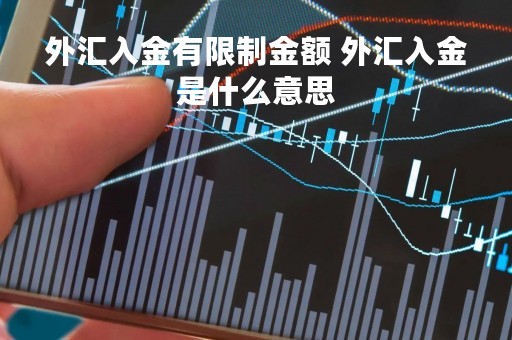 外汇入金有限制金额 外汇入金是什么意思