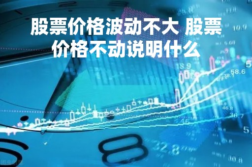 股票价格波动不大 股票价格不动说明什么