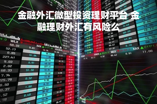金融外汇微型投资理财平台 金融理财外汇有风险么