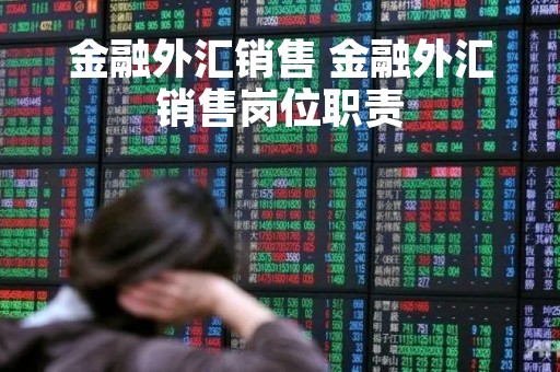 金融外汇销售 金融外汇销售岗位职责