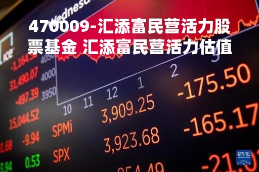 470009-汇添富民营活力股票基金 汇添富民营活力估值