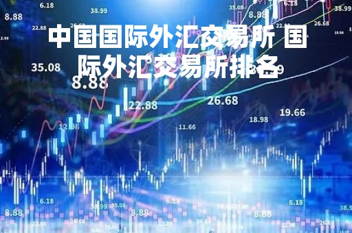 中国国际外汇交易所 国际外汇交易所排名