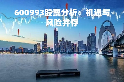 600993股票分析：机遇与风险并存