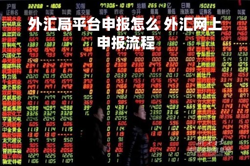 外汇局平台申报怎么 外汇网上申报流程