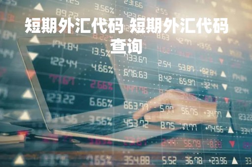 短期外汇代码 短期外汇代码查询