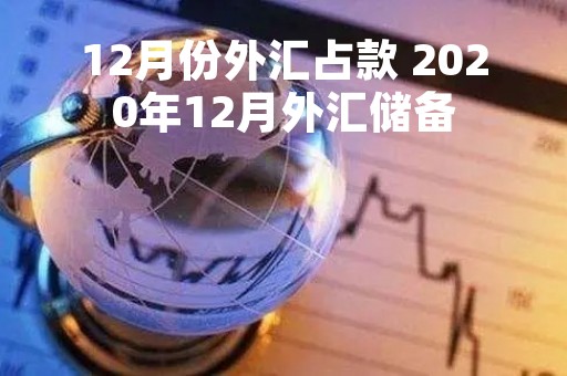 12月份外汇占款 2020年12月外汇储备