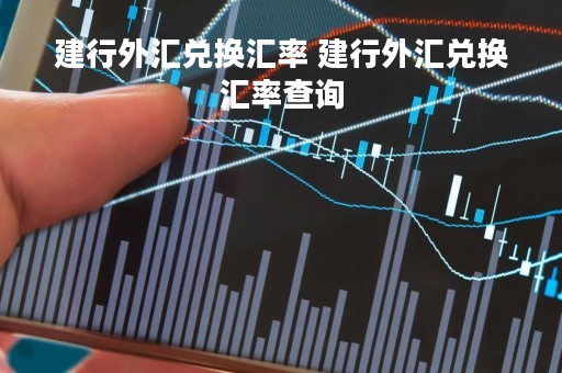 建行外汇兑换汇率 建行外汇兑换汇率查询