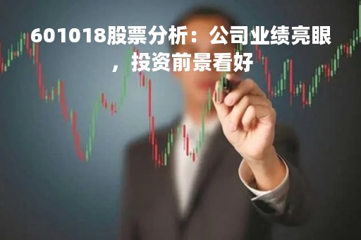 601018股票分析：公司业绩亮眼，投资前景看好