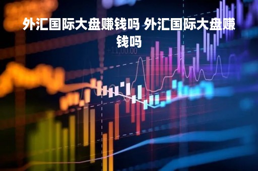 外汇国际大盘赚钱吗 外汇国际大盘赚钱吗