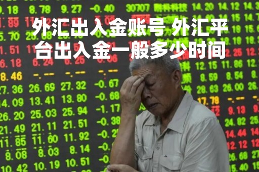 外汇出入金账号 外汇平台出入金一般多少时间