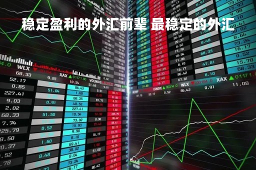 稳定盈利的外汇前辈 最稳定的外汇