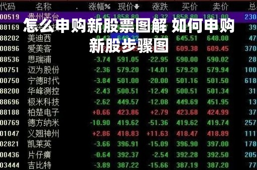 怎么申购新股票图解 如何申购新股步骤图