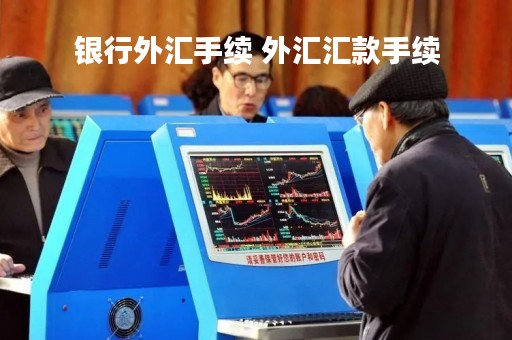 银行外汇手续 外汇汇款手续