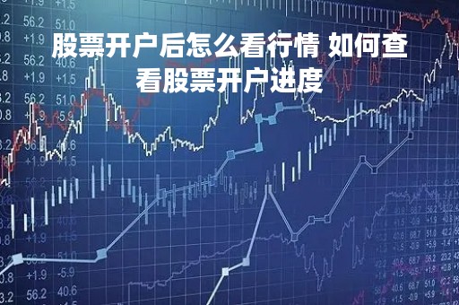 股票开户后怎么看行情 如何查看股票开户进度