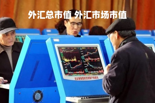 外汇总市值 外汇市场市值