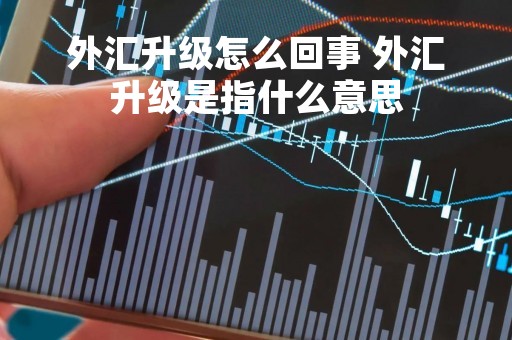 外汇升级怎么回事 外汇升级是指什么意思