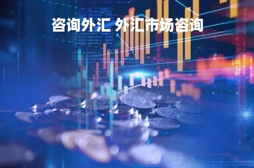 咨询外汇 外汇市场咨询