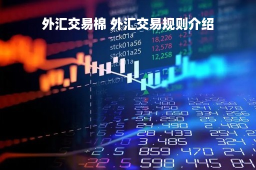 外汇交易棉 外汇交易规则介绍