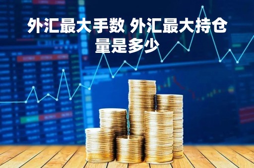 外汇最大手数 外汇最大持仓量是多少