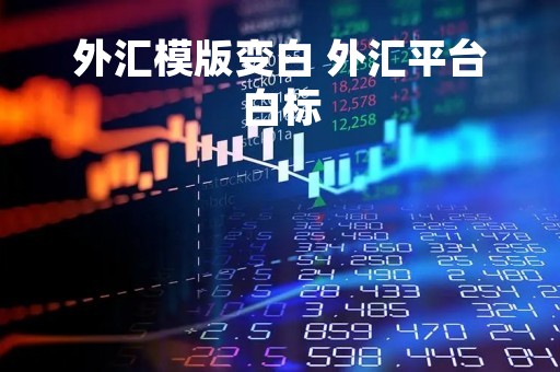 外汇模版变白 外汇平台白标