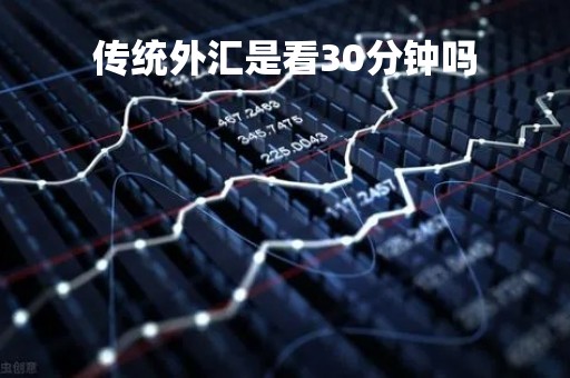 传统外汇是看30分钟吗