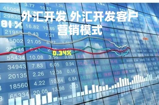 外汇开发 外汇开发客户营销模式