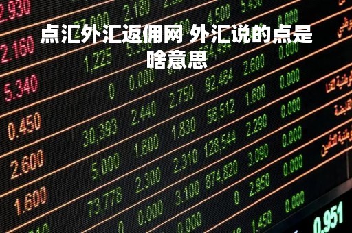 点汇外汇返佣网 外汇说的点是啥意思