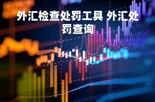 外汇检查处罚工具 外汇处罚查询