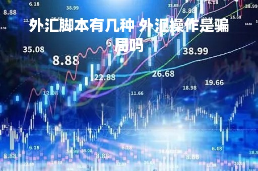 外汇脚本有几种 外汇操作是骗局吗